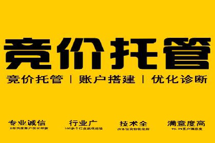 案例研究：SEM关键词优化效果对比